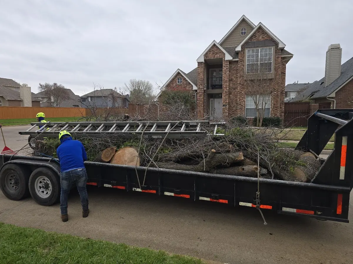 Expert Tree Fertilization with proper safety equipment in Hillsboro